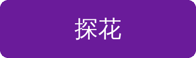 探花